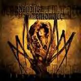 Beyond The Embrace - Insect Song